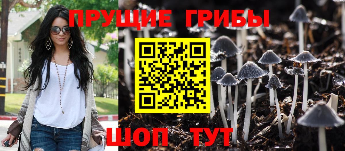 Галлюциногенные грибы прущие грибы Бузулук